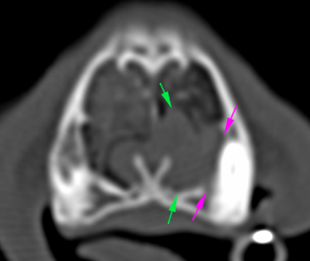 Cat CT mineral attenuating structure